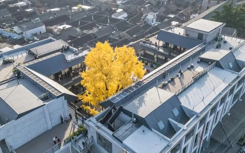 苏唱街1号数字游民+OPC融合社区 封面